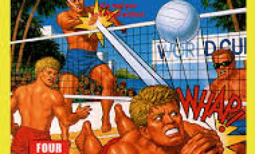 Microanalisis-Super Spike V´ball (NES)